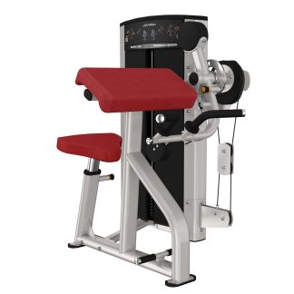 Life Fitness Axiom Tví/þríhöfða tæki